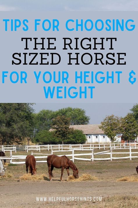 Horse Weight, Roping Horse, Percheron Horses, Western Saddle Pads, Weight Charts, Horse Info, Shire Horse, Clydesdale Horses, Future Farms