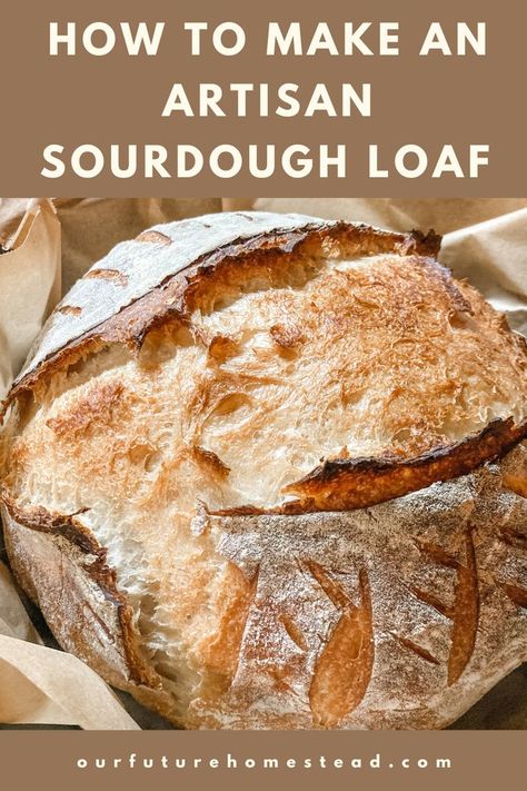 Easy Sourdough Bread Recipe Little Spoon Farm, Large Sourdough Bread Recipe, No Fail Sourdough Bread, Sourdough Bread Recipe 2 Loaves, Large Batch Sourdough Starter, Double Batch Sourdough Bread, Big Batch Sourdough Bread, How To Start Sourdough, Freezing Sourdough Bread Dough