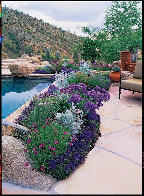 Pool garden border  Borders don't have to be large or complex to have visual impact; just four or five well-chosen plants can work wonders.Here, a border of purple African daisies, lobelia, sea lavender, and silvery dusty Miller hugs a pool in Scottsdale, AZ. Pool Sidewalk Ideas, Flower Beds By Pool, Flower Bed Around Pool, Pool Border Landscaping, Flower Beds Around Pool, Pool Flower Beds, Texas Pool Landscaping Backyards, Dusty Miller Landscape, Landscaping By Pool