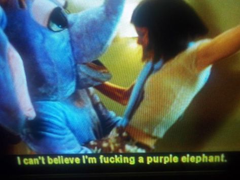 The Sweetest Thing Purple Elephant, Selma Blair, The Sweetest Thing, Film Studies, Sweetest Thing, Fish Pet, Elephant, Purple