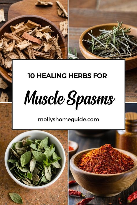 Discover the power of nature with these top antispasmodic herbs for muscle relaxation. Herbs like valerian root, chamomile, and kava kava are known as natural muscle relaxers, perfect for relieving muscle tension and aches. Say goodbye to pesky muscle cramps and spasms with these effective remedies. Incorporate anti-inflammatory herbs into your routine to support muscle recovery and ease discomfort. Herbs For Cramps, Antispasmodic Herbs, Herb Knowledge, Natural Muscle Relaxer, Learning Herbs, Kava Kava, Foraging Recipes, Muscle Cramps, Natural Girl