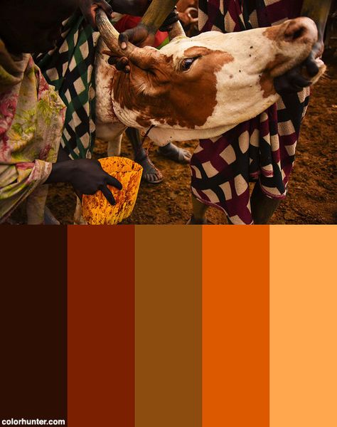 Cow Blood Color Scheme from colorhunter.com Cowboy Colour Palette, Blood Color Palette, Cow Colour, Warm Colour Palette, Color Harmony, Colour Palette, Color Palettes, Color Scheme, Color Schemes