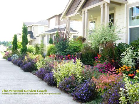 Shrubs For Landscaping, Front Yard Plants, Front Garden Landscape, Front Garden Design, Front Landscaping, Garden Shrubs, Front Lawn, Front Yard Garden, Landscaping Design