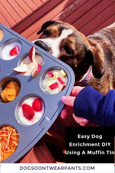 Have a bored pup? Try this quick and easy dog enrichment toy! It's sure to entertain your dog and keep their mind sharp! Diy Enrichment Toys For Dogs, Dog Busy Toys, Diy Dog Enrichment, Dog Boredom Buster, Dog Enrichment Ideas, Canine Enrichment, Dog Entertainment, Dog Boredom, Dog Lifestyle