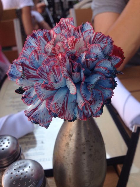 Red And Blue Flowers Aesthetic, Blue Flower Arrangements, Red And Blue Flowers, Flower Board, Earth Air Fire Water, Man Wedding, Air Fire, Aesthetic Light, Fire Water