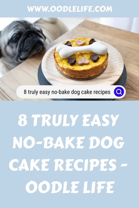 Most baked and no-bake dog cake recipes include a select few dog-safe bases. Many of the no-bake recipes here include the following ingredients, which are Microwave Dog Cake, Dog Mug Cake, Egg Free Dog Cake, Homemade Dog Birthday Cake, No Bake Dog Cake, Small Dog Cake Recipe Easy, Dog Safe Cake Recipe Easy, Grain Free Dog Cake, 3 Ingredient Dog Cake