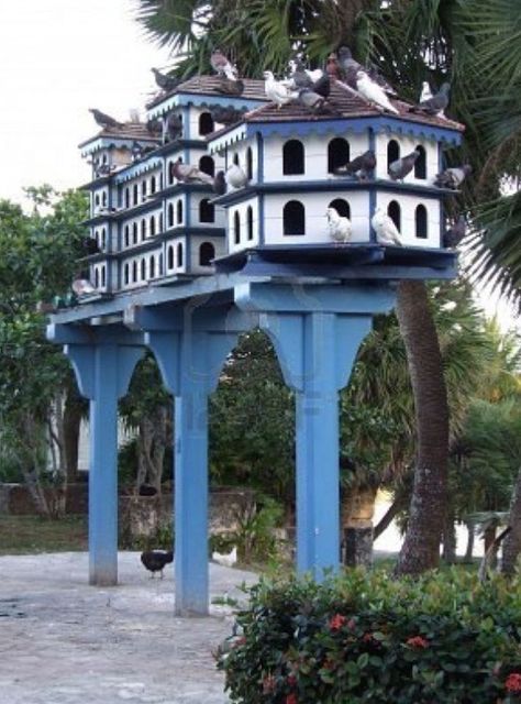 Not a fan of pigeons but these birdhouse are awesome.  I can see these being used in public spaces. Pigeon Loft Design, Pigeon Nest, Pigeon Cage, Birdhouse Projects, Dove House, Pigeon House, Pigeon Loft, Homemade Bird Houses, Beautiful Birdhouses