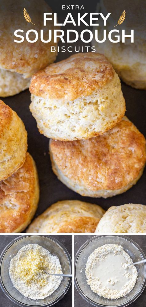 Sourdough Hushpuppies, Sourdough Buiscits Recipes, Sourdough Freezer Biscuits, Sourdough Breakfast Sandwich, Flakey Biscuits, Biscuit Sandwiches, Sourdough Biscuits, Sausage Biscuits, Sourdough Pancakes