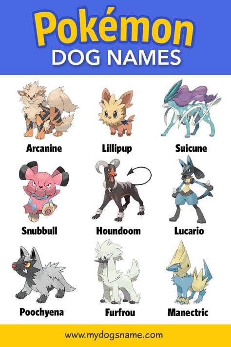 Pokemon Dog, Dogs Names List, List Of Pokemon, Dog Pokemon, Pokemon Names, Cute Names For Dogs, Names List, Name List, All Pokemon