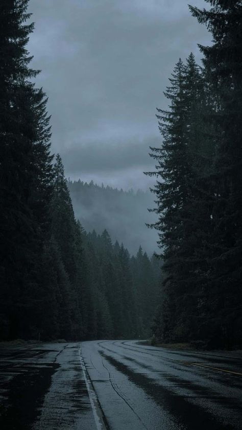 Wald Wallpaper, Dark Naturalism, Dark Things, Dark Forest Aesthetic, Dark Landscape, Dark Green Aesthetic, Dark Nature Aesthetic, Pretty Landscapes, Mountain Road