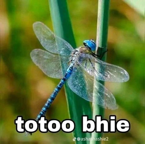 Corny Quotes, Memes Tagalog, Funny Text Pictures, Tagalog Quotes Hugot Funny, Filo Memes, Funny Yugioh Cards, Filipino Memes, Tagalog Quotes Funny, Filipino Funny