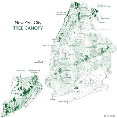 Much fuss has been made over city trees in recent years. Urban trees reduce crime and help stormwater management (yay!). Cities and towns… Urban Mapping, Forest Map, Tree Map, City Tree, Urban Analysis, Urban Design Graphics, Stormwater Management, Urban Tree, City Island