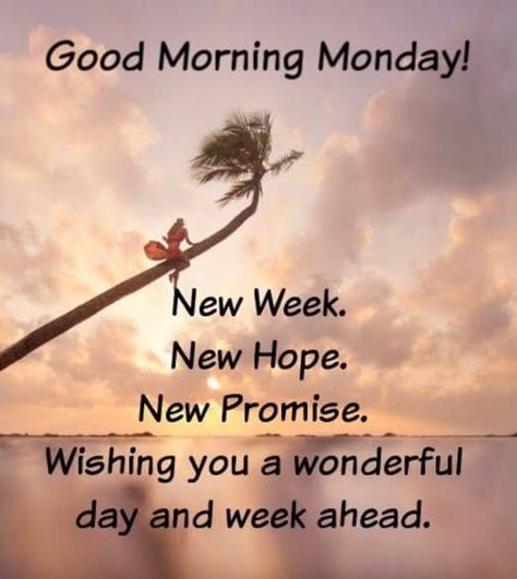 Monday Good Morning Wishes, Monday Morning Greetings, Monday Morning Wishes, Brain Thinking, Monday Morning Inspiration, Monday Inspirational Quotes, Monday Wishes, Happy Monday Quotes, Happy Monday Morning