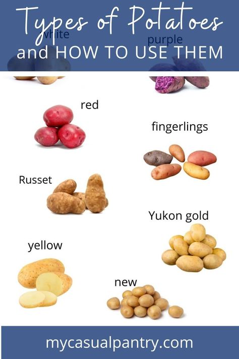 images of assorted varieties of potatoes. Different Potatoes Types, Types Of Potatoes For Cooking, Different Kinds Of Potatoes, Potato Types And Uses, Potato Types, Loaded Baked Potato Casserole, Roasted Garlic Aioli, Potato Varieties, Roasted Fingerling Potatoes