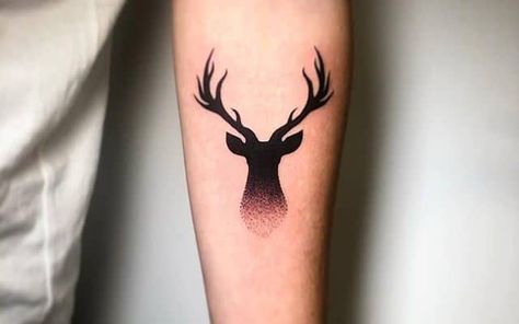 Stags Head Tattoo, Stag Tattoo, Stags Head, Tattoo Board, Head Tattoo, Stag Head, Head Tattoos, Leaf Tattoos, Maple Leaf Tattoo