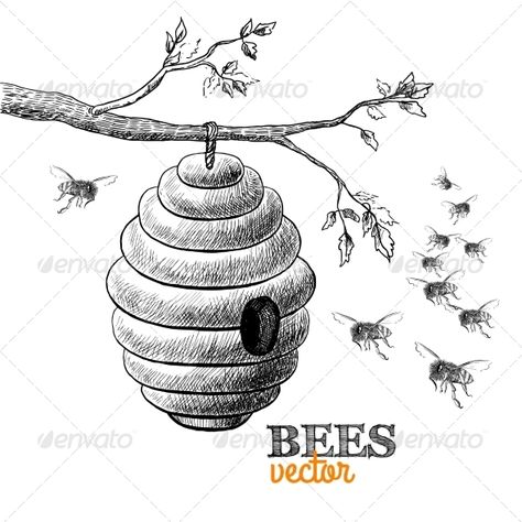 Honey bees and hive on tree branch isolated vector illustration. Editable EPS and Render in JPG format Beehive Drawing, Bee Drawing, Branch Vector, Honey Bee Hives, Bee Illustration, Posca Art, Vintage Bee, Bee Tattoo, Desenho Tattoo