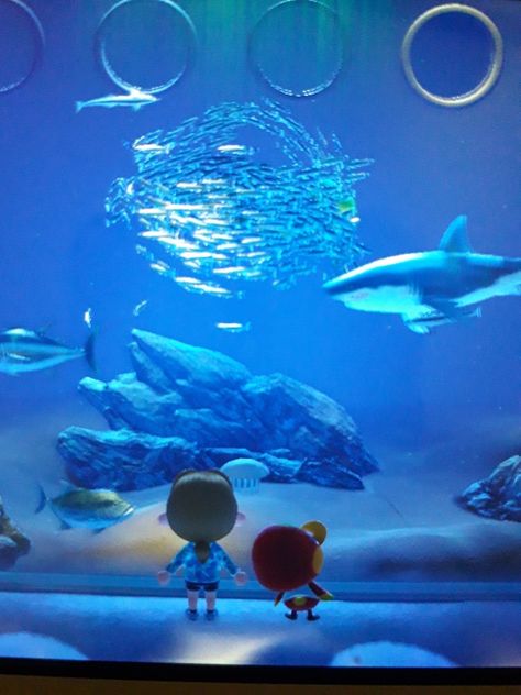 Acnh Aquarium, Blue Animal Crossing, Animal Crossing Aquarium, Animal Crossing Blue Aesthetic, Seattle Aquarium, Big Fish, Cute Creatures, Blue Aesthetic, Pretty Pictures