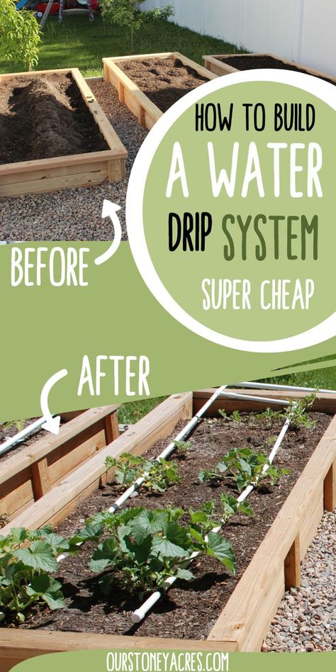 Do you know how to water raised bed gardens? This is the best method for a vegetable garden watering system. This is drip irrigation for raised beds. It is a simple vegetable garden watering system diy. Learn how to water a garden without a hose. Find more watering a garden ideas, watering vegetable garden tips, and gardening ideas. Self Watering Raised Garden Beds Diy, Vegetable Garden Watering System, Watering System For Garden Raised Beds, Self Watering Raised Garden Beds, Raised Bed Watering System, Irrigation For Raised Beds, Watering Vegetable Garden, Simple Vegetable Garden, Raised Garden Beds Irrigation