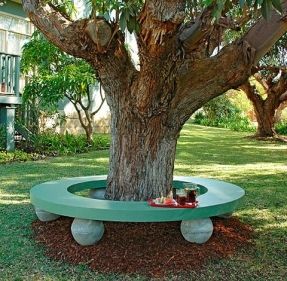 How to make a seat around a tree: If you need seating for a cast of thousands or want to spend quiet moments in the shade, a tree seat is just what you need.    Tree seats conjure up images of lazy spring afternoons under the shade of a gnarled old tree, Backyard Seating Ideas, Bench Around Trees, Tree Seat, Tree Bench, Seating Ideas, Backyard Seating, Have Inspiration, Garden Bench, The Grass