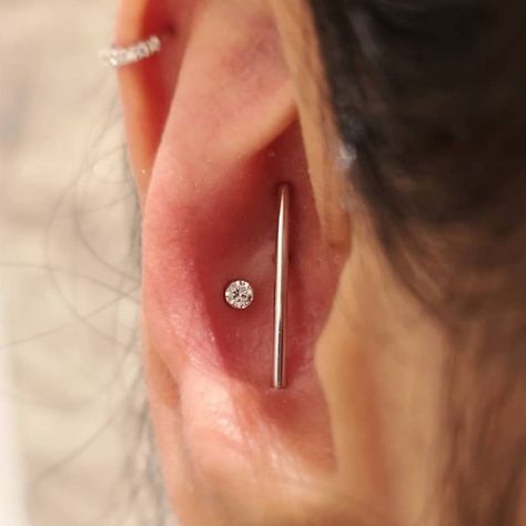 Double Conch, Circular Bar, Homes In Ireland, Cool Piercings, Bar Studs, Conch Piercing, Dream Jewelry, Conch, Diamond Studs