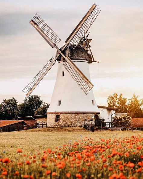 Netherlands Windmills, Windmill Photos, Windmill Art, Windmill Water, Holland Windmills, Dutch Windmill, Old Windmills, Norfolk Broads, Dutch Windmills