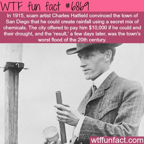 Strange Facts, Facts You Didnt Know, Creepy Facts, Rain Man, Wow Facts, Unbelievable Facts, Crazy Facts, Cool Facts, Historical Facts