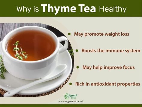 Health benefits of thyme tea infographic Thyme Tea Benefits, Benefits Of Thyme, Health Benefits Of Thyme, Tea Infographic, Thyme Uses, Thyme Tea, Thyme Herb, Tea At Home, Lemon Honey