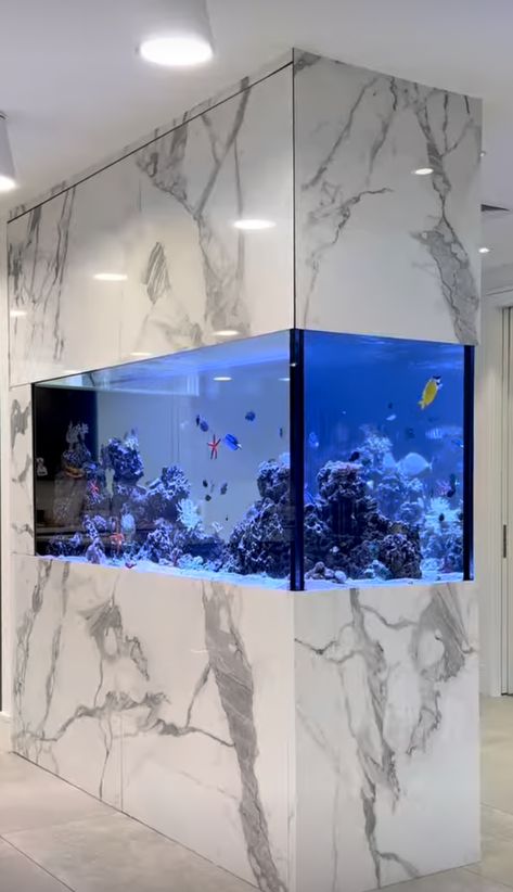 Home Aquarium Ideas, Fish Tank Wall, Aquarium Architecture, Wall Aquarium, House Front Door Design, Aquarium Ideas, Home Aquarium, Aquarium Design, Perfect Bedroom