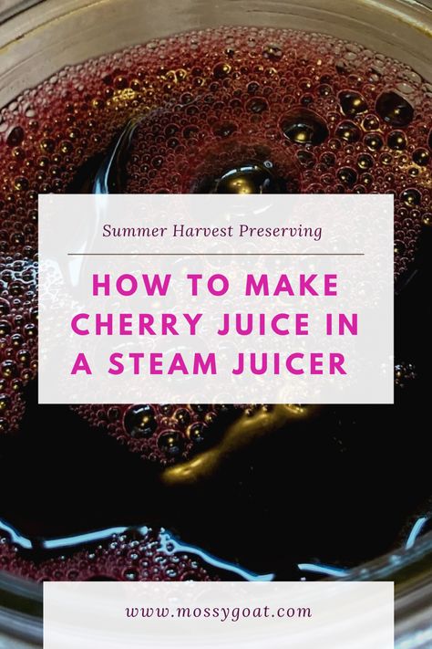 Steam juicer cherry juice Steamer Juicer Recipes, Chokecherry Juice Recipes, Juice Steamer Recipes, Steam Juicer Recipes Canning, Steam Juicer Recipes, Cherry Pancake Syrup, Steaming Recipes, Homemade Cherry Juice, Chokecherry Recipes