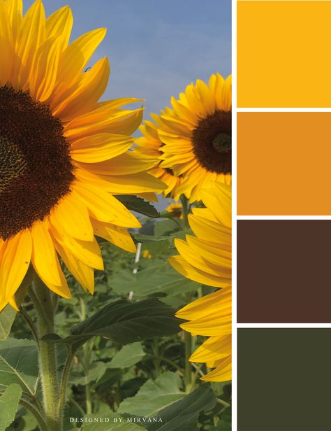 Yellow Flower Color Palette, Sunflower Color Pallete, Sunflower Pallet Color, Sunflower Colour Palette, Yellow Pallet Colour Palettes, Color Palette Sunflower, Colors That Go With Yellow, Mexico Color Palette, Sunflower Color Palette