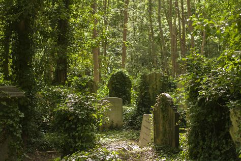 Overgrown Cemetery Aesthetic, Overgrown Graveyard, Overgrown Cemetery, Drawtober 2023, Uncut Hair, Highgate Cemetery London, Beautiful Cemetery, Old Cemetery, Trip To England