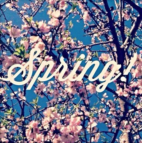 Spring Hello March Quotes, March Quotes, Hello March, Web Instagram, Spring Fling, Seasons Of The Year, Spring Has Sprung, Spring Is Here, Real Instagram Followers