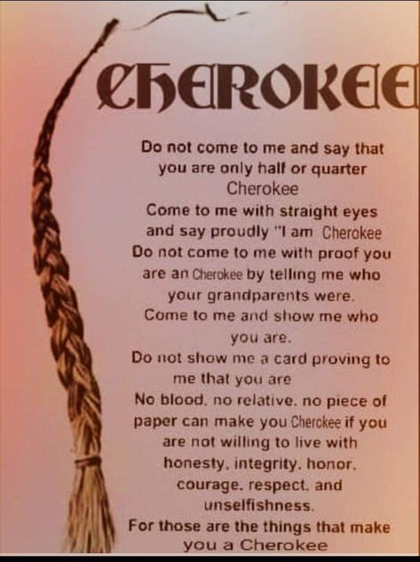 Native American Quotes Wisdom, Native American Knowledge, Native American Facts, Native American Beliefs, Native Quotes, Cherokee Language, American Indian Quotes, Native American Prayers, Native American Ancestry