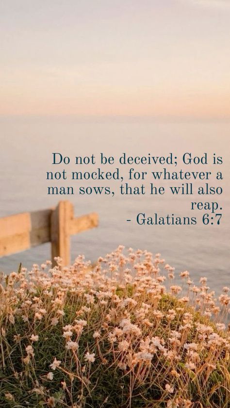 Galatian 6:7 Galatians 6 4, Galatians 6 7, Do Not Be Deceived, Galatians 6, Bible Verse Background, Bible Notes, Read Bible, Quotable Quotes, Quotes About God