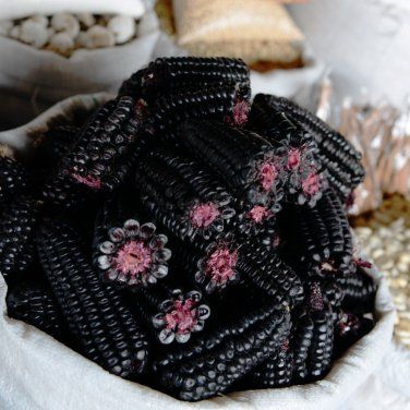 This is an absolutely beautiful dark dark purple corn. Also known as Kculli this ancient type of... Black Vegetables, Peruvian Corn, Black Corn, Purple Vegetables, Purple Corn, Black Fruit, Goth Garden, Gothic Garden, Rare Seeds