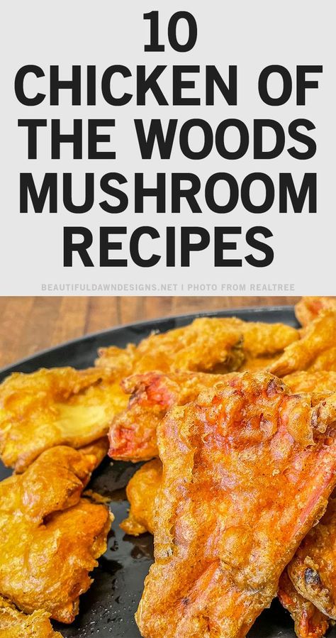 These chicken of the woods mushrooms recipes are the ultimate savory and delicious mushroom. Unsurprisingly, they’re known for tasting like chicken and having a texture similar to chicken as well. In fact, these mushrooms are perfect for anyone taking the steps towards becoming full vegetarian or vegan. Yes, you can fry your chicken of woods mushrooms! These batter-fried mushrooms are coated in batter that yields crispy fried mushrooms that taste like chicken. Hen Of The Woods Mushroom Recipe, Hen Of The Woods Recipe, Chicken Of The Woods Mushroom, Chanterelle Mushroom Recipes, Mushroom Recipes Vegan, Wild Mushroom Recipes, Mushrooms Recipes, Chicken Of The Woods, Beautiful Dawn