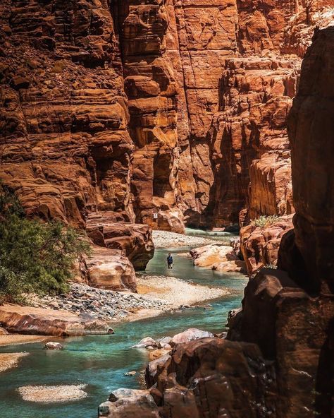 Wadi Mujib, Jordan Tourism, Jordan Travel, Sore Eyes, Nature Reserve, The East, East Coast, Insta Travel, The Dead