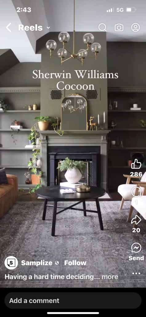 Moody Living Room, Sherwin Williams Colors, Room Paint Colors, Master Bedrooms Decor, Paint Colors For Home, Living Room Paint, Front Room, Room Colors, Sherwin Williams