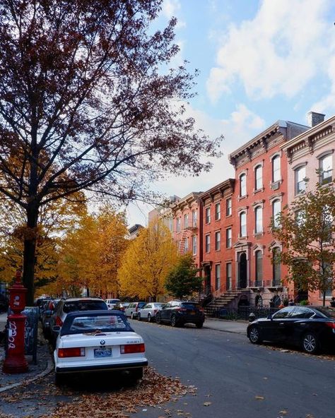 Williamsburg Brooklyn Apartment, Williamsburg Nyc, Happy First Day Of Fall, First Day Of Fall, Williamsburg Brooklyn, 2024 Vision, First Day, One Day, Brooklyn