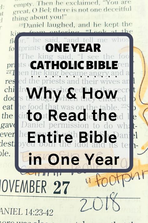 How To Read The Catholic Bible, Catholic Bible Reading Plan, Catholic Bible Study, Read My Bible, Daily Bible Reading Plan, Bible In One Year, Catholic Orders, Read Your Bible, Bible Timeline