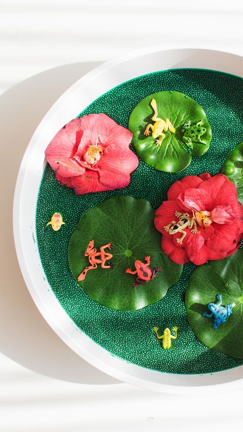 inspiremyplay on Instagram: FROG POND SENSORY PLAY . You guys are keen for more taste-safe play options so here is one involving a little bit of chia seed & water.… Sensory Play Tray, Frog Tuff Tray Ideas, Chia Seed Tuff Tray, Frog Sensory Bin, Chia Seed Sensory Play, Snail Sensory Play, Sensory Tray, Frog Sensory Play, Chia Seed Messy Play