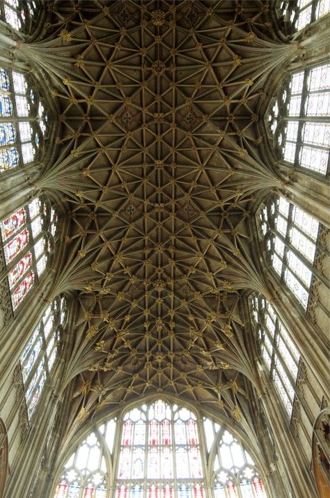 Gloucester Cathedral Vaulted Ceiling Gothic Setting, Ribbed Vault, Ely Cathedral, Gloucester Cathedral, Norwich Cathedral, Timber Roof, Gothic Cathedrals, Cathedral Architecture, French Architecture