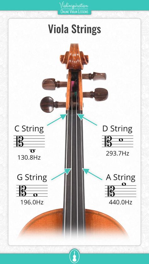 Viola Music, Play Violin, Viola Instrument, Viola Sheet Music, Music Theory Lessons, Read Music, Violin Strings, Cello Music, Violin Lessons