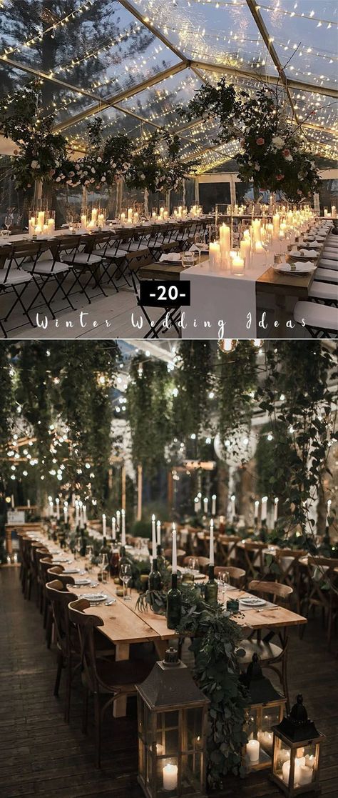 Winter Wedding Lights Decoration, Winter Wedding Themes Romantic, 2012 Wedding Trends, January Wedding Venues, Small Fairytale Wedding, Winter Wedding Minimalist, Winter Wedding Floral Arch, Adelphi Hotel Saratoga Wedding, Greenhouse Winter Wedding