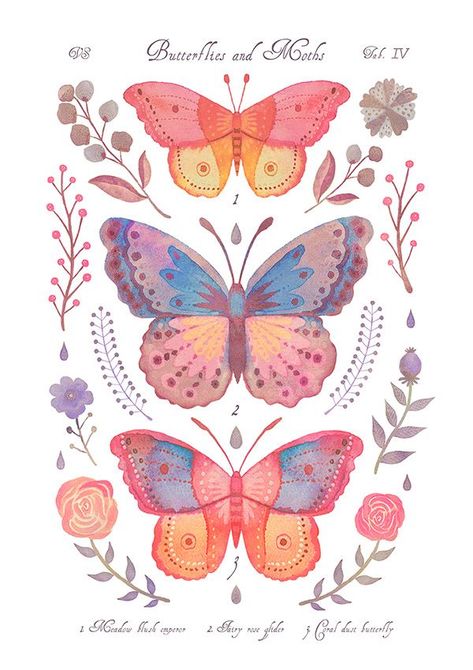 Jun 6, 2021 - A series of illustrations depicting imaginary moth and butterfly species in the style of vintage natural history books. Butterfly Illustration, Butterflies And Flowers, Butterfly Drawing, Arte Inspo, Art Collage Wall, Butterfly Wallpaper, Butterfly Art, الرسومات اللطيفة, Wall Collage