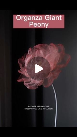 Li Blossom-Butterfly Designers | Tutorial on making giant organza peony flowers, with detailed production steps!#artificialflowers #artificialflower #artificial... | Instagram Giant Organza Flowers, 3d Organza Flowers, Fabric Giant Flower, Organza Giant Flower, Pink Organza Fabric With Floral Applique, Painting Decor, Wall Painting Decor, Instagram Tutorial, Organza Flowers