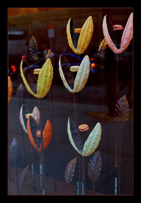 Cocoa Bean Pods by Anne-Lise Chocolate Store Design, Cacao Fruit, Chocolate Boutique, Chocolate Stores, Bean Pods, Chocolate Work, Cacao Chocolate, Chocolate Design, Stall Designs