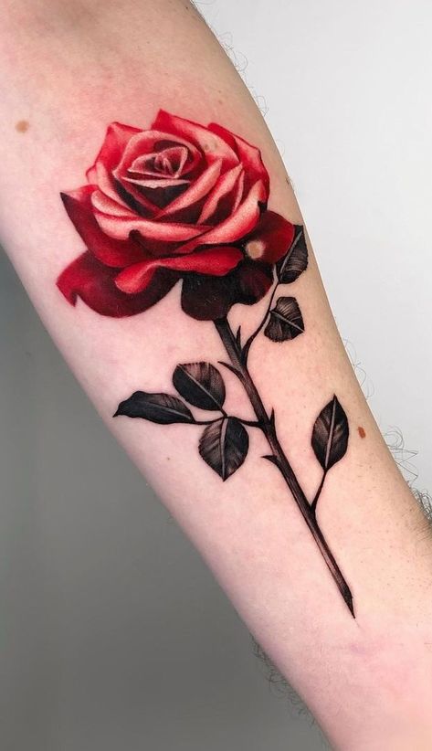 Rose On Stem, Rose Stem Tattoo, Stem Tattoo, Butterfly With Flowers Tattoo, Realistic Rose Tattoo, Rose Flower Tattoos, Rose Drawing Tattoo, Rose Tattoos For Men, Rose Tattoos For Women