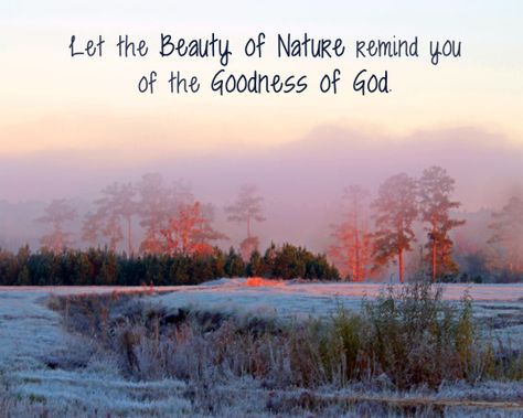 Nature quote about the beauty of Nature and the goodness of God. God's Creation Quotes Nature, Explore Quotes Nature, Mountain Quotes Nature, Save Nature Quotes, Nature Quotes Beautiful, Creation Quotes, Nature Quotes Inspirational, Nature Quote, Mountain Quotes