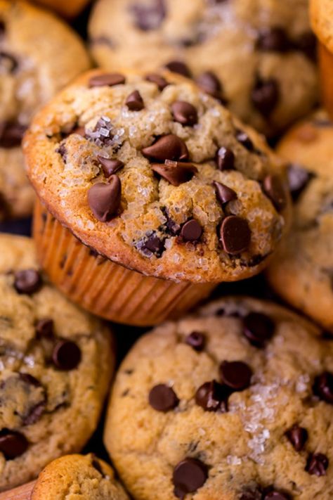 The BEST muffin recipe for chocolate chip muffins! This easy chocolate chip muffin recipe is super moist and loaded with gooey chocolate chips. A great breakfast recipe or brunch recipe! Chocolate Toffee Muffins, Breakfast Chocolate Muffins, Healthy Chocolate Breakfast Muffins, Chocolate Chip Muffins Sour Cream, Chocolate Chip Muffin Recipes, Muffin Recipes Chocolate, Easy Chocolate Chip Muffin Recipe, Chocolate Breakfast Muffins, Healthy Chocolate Breakfast